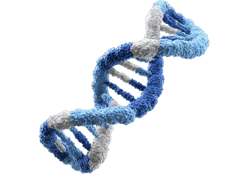 DNA Purification / Nucleic Acid Extraction